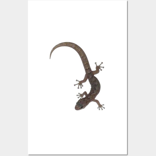 There's a gecko in my bath! Wall Art by rozmcq